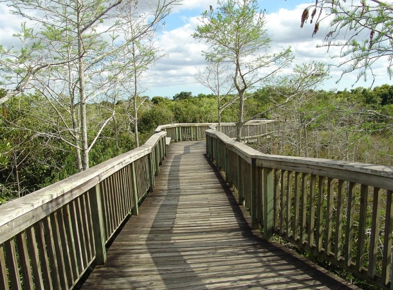 Everglades National Park  - Bridge