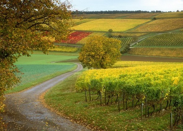 France Countryside view