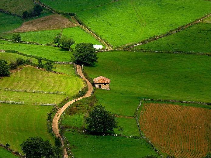 Spain - Countryside life