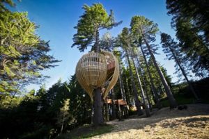 Yellow Treehouse Restaurant