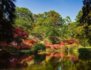 Exbury Gardens in UK