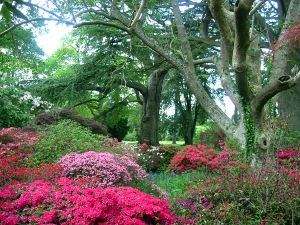 Exbury Gardens in UK