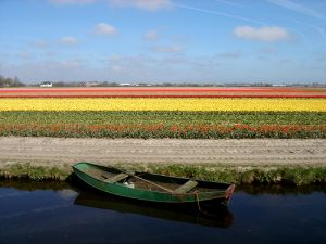 Holland's Keukenhof Gardens