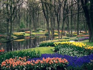 Holland's Keukenhof Gardens