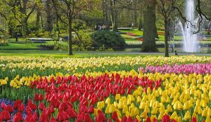 Holland's Keukenhof Gardens