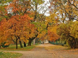 Vienna in Austria