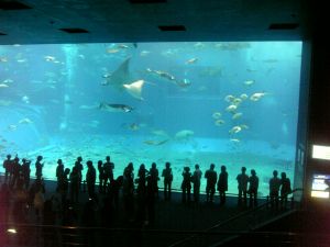 The Okinawa Churaumi Aquarium, Japan