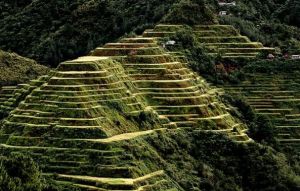 Banaue Rice Terraces in Philippines