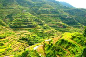 Banaue Rice Terraces in Philippines