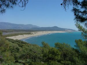 Patara