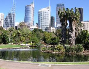  Sydney Royal Botanic Gardens
