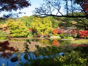 Kyoto