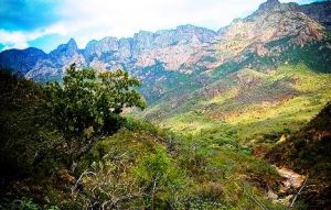 Socotra Islands archipelago