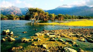 Socotra Islands archipelago