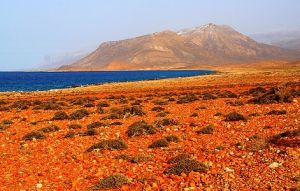 Socotra Islands archipelago