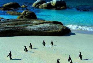 Cape Town, South Africa