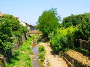 Greve in Chianti