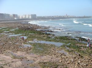 Casablanca- the most cosmopolitan city in the Islamic world 