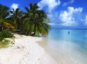 The Lagoon of Fakarava