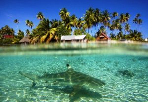 The Lagoon of Fakarava