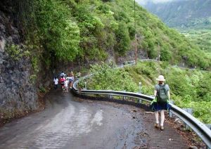 Waipio Valley Road