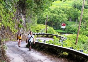 Waipio Valley Road