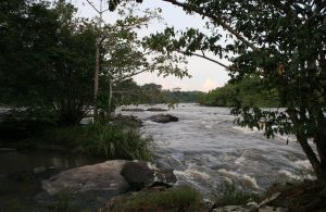 The Congo River