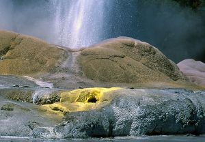  Prince of Wales Feathers Geyser, New Zealand