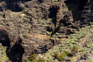 Acantilados de Los Gigantes 