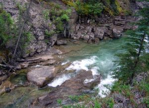 Canyon Maligne