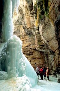 Canyon Maligne