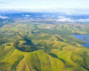 Papua New Guinea