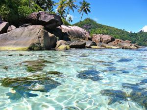 The Seychelles