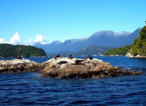 Fiordland  National Park