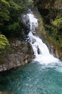 Fiordland  National Park