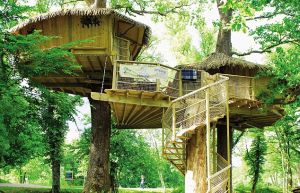 Keycamp's Tree House, France