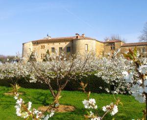 Château de Bagnols, France