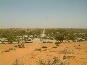 The Kalahari Desert, Africa