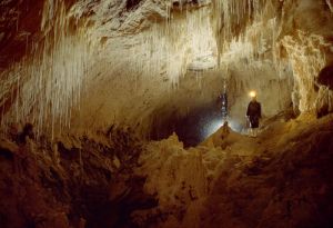 Waitomo Cave, New Zealand