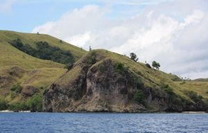 The Komodo Island