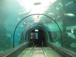  Phuket Aquarium