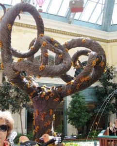 Bellagio Conservatory and Botanical Garden