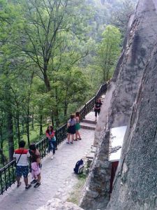 The Bran Castle