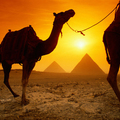 Image Egypt  - The best winter holiday destinations 
