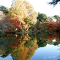 Image Shinjuku Gyoen National Park - The best places to visit in Tokyo, Japan
