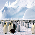 Image Antarctica - The most mysterious tourist destinations in the world