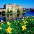 Leeds Castle in UK