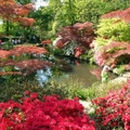 Exbury Gardens in UK