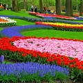 Image Holland's Keukenhof Gardens