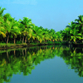 Image Kerala Backwaters